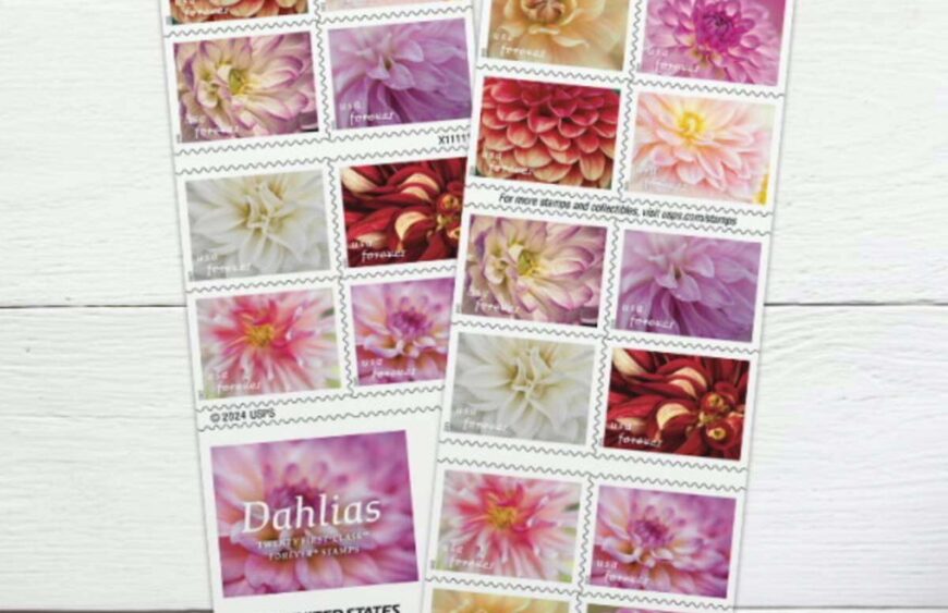 flower dahlias stamps discount