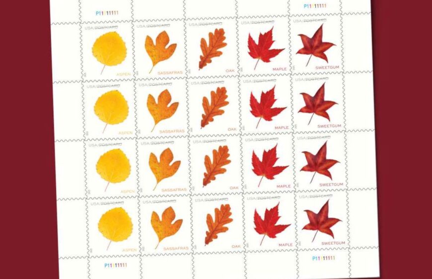 discount vibrant leaves postcard stamps