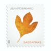 Vibrant Leaves Postcard Stamps