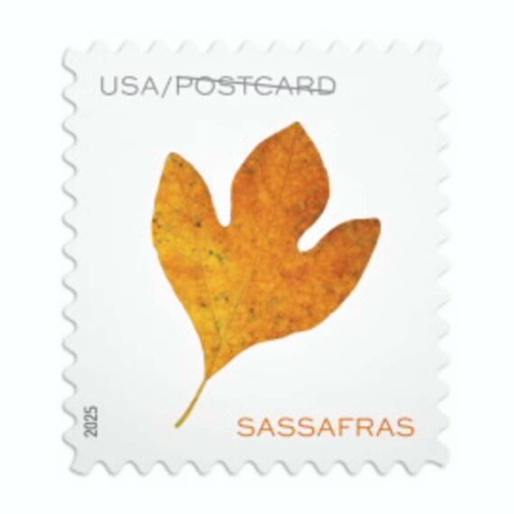 Vibrant Leaves Postcard Stamps