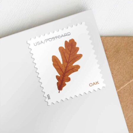 discount vibrant leaves postcard stamps