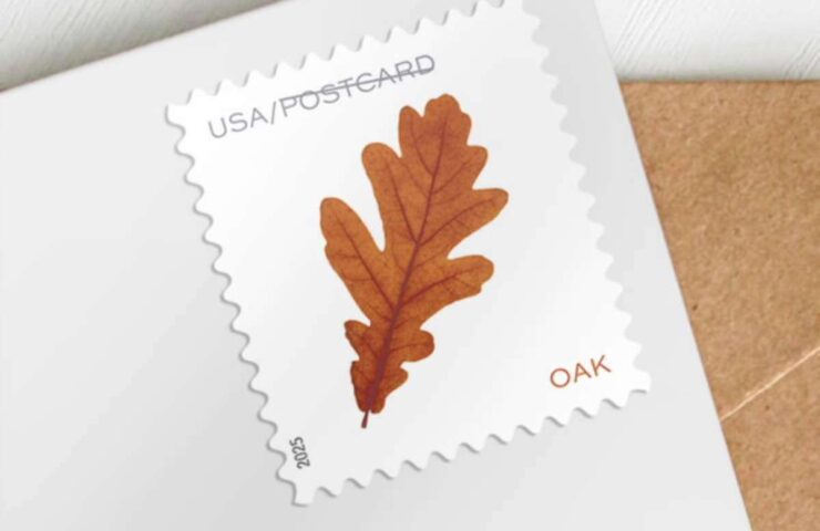 discount vibrant leaves postcard stamps